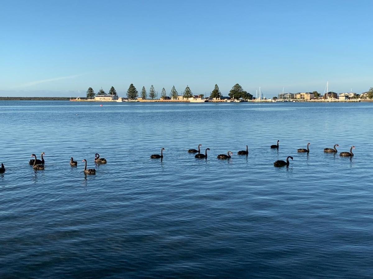 Boat Harbour Jetty B&B ポート・アルバート エクステリア 写真